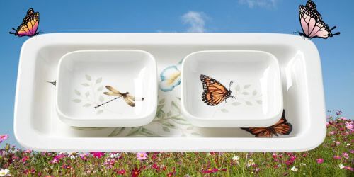 Sushi Plate & Bowls on springtime field background with butterflies perched on corners.