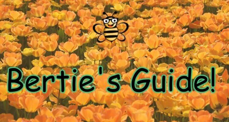 Bertie's Guide Section