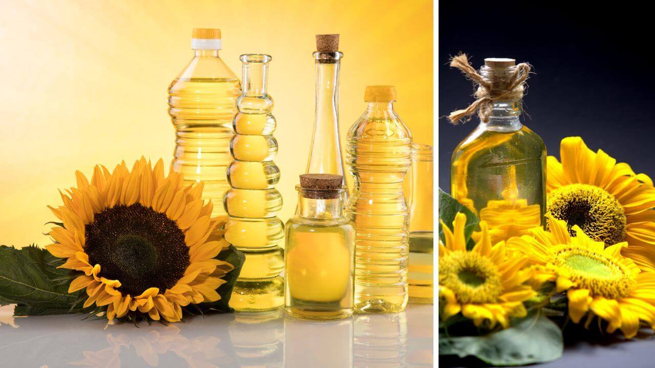 Different Kinds of Oils with Sunflowers