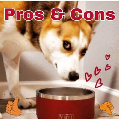 Sign of dog with Yeti bowl and pringing Pros & Cons!