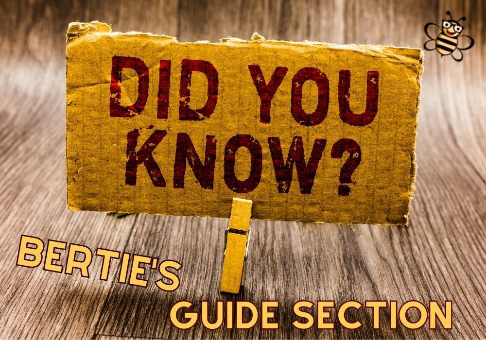 Sign with Did You Know-Bertie's Guide Section