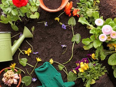 Flowers, pots, gardening glove, soil