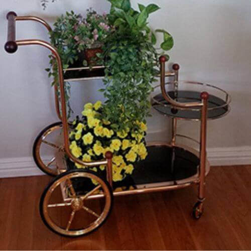 Example of bar cart for displaying plants.