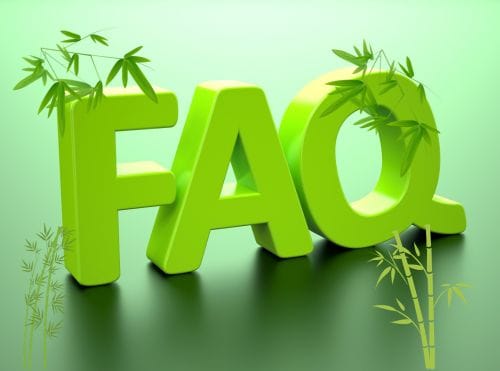 FAQ lettering in green with bamboo scattered about