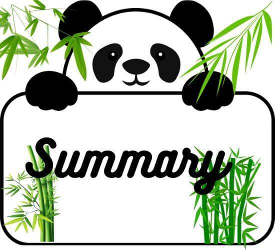 Panda Bear holding "Summary" sign.
