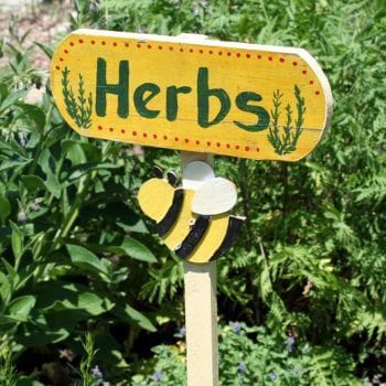 Sign with "Herbs" and a bee underneath it in an herb garden.