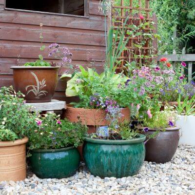 Herbs and plants in different sized pots