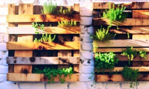 Vertical herb garden in wooden pallets hung on brick wall.