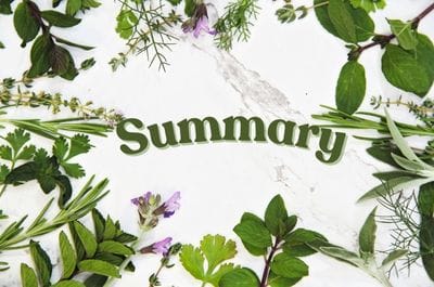 Various green herbs on border of "Summary" on white background