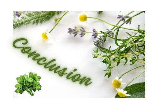 Sign with Conclusion on it with various herbs