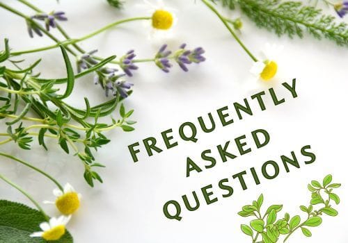 Frequently Asked Questions with herbs scattered about