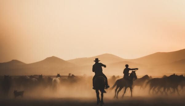 Cowboys corralling horses