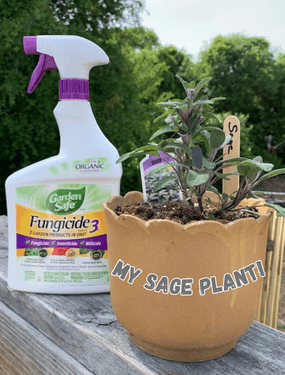 Fungicide I'm using on my sage plants